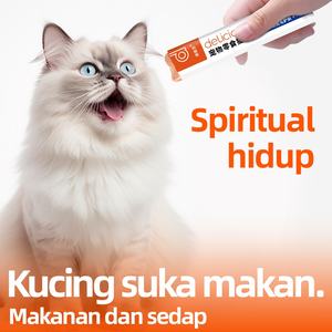 Dilisa Cat Strip English Package Snacks Liam Wet Food 15g Fabriqué en Angleterre Fat Gill - Product Image 2