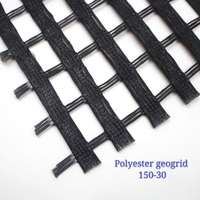 Geogrid de Poliéster Tejido por Urdimbre, Biaxial, de Alta Resistencia a la Tracción, para Refuerzo de Carreteras, Ferrocarriles, Presas, Muros de Contención y Caminos
