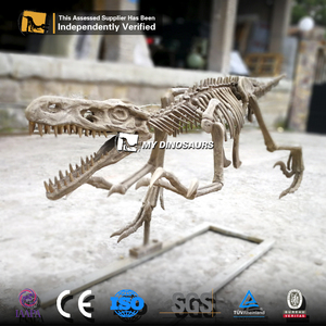 Mi <span class=keywords><strong>dinosaurio</strong></span> Parque Jurásico <span class=keywords><strong>esqueleto</strong></span> <span class=keywords><strong>Velociraptor</strong></span> resina fósil Artificial para la exposición del Centro <span class=keywords><strong>de</strong></span> Ciencia - Product Image 5