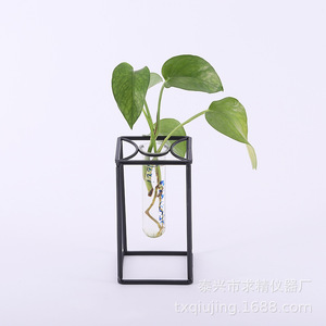Seeking Excellence Glass Hydroponic <b>Vase</b> 25x35x120mm Plant Decor For Desktop Zen Ornament - Product Image 1