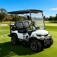 Fournisseur de voiturettes de golf électriques, voiturette de golf 4 places, chariot de golf DC-G-F2+2, vente directe d'usine, véhicule surélevé