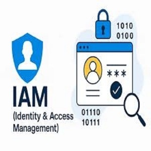 ซอฟต์แวร์แอปพลิเคชันจัดการการเข้าถึงข้อมูล (IAM) สำหรับ Android, Linux, MAC สำหรับอินเทอร์เน็ตมือถือ รวมถึงเซิร์ฟเวอร์ดิจิทัลและสต็อกดิจิทัล - Product Image 3