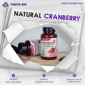 Cápsulas de Arándano de Alta Absorción con Vitamina C, Favorecen la Microcirculación, Equilibrio Sistémico Diario, Suplemento Dietético, 90 Cápsulas - Product Image 3