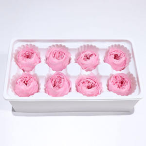 Yunnan-flores decorativas y guirnaldas para la cabeza, rosas rojas preservadas de Austin de alta calidad, de corte fresco, multicolor, 10 Uds., venta al por mayor - Product Image 1