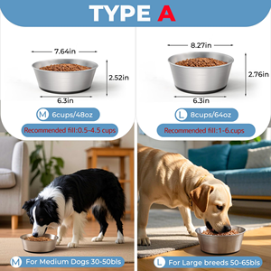 Bol pour chien antidérapant en acier inoxydable, écologique, compatible micro-ondes, facile à nettoyer, pour voyage, gamelles et bouteilles d'eau pour animaux de compagnie, pour usage intérieur - Product Image 4