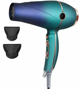 Vente chaude souffleur d'air 2 réglages de vitesse interrupteur de réglage de l'air chaud et froid salon professionnel moteur à courant alternatif 2300W sèche-cheveux