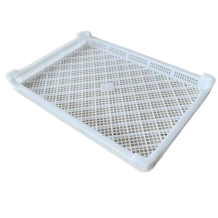 Plastic Drying Tray