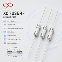 Fusible céramique XC FUSE à passage traversant 4F 3.6x10mm 200mA-20A 125V-350V AC/DC à action rapide pour TUV VDE CB KC PSE pour alimentation électrique