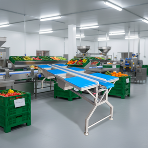Vendita Diretta dalla Fabbrica, Tavoli di Smistamento Personalizzabili a Quattro o Sei Postazioni per la Lavorazione di Frutta e Verdura - Product Image 4