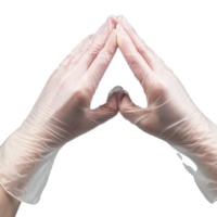 Gants jetables en vinyle sans poudre pour le nettoyage dentaire et l'examen alimentaire