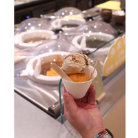 Mesin Es Krim Komersial Miles Galaxy Pro V4 dengan Rasa Buah & Susu 4 Rasa Kapasitas 6L