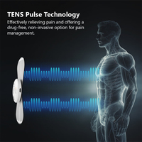 Masseur électronique numérique à impulsions rechargeable par USB, appareil de thérapie des douleurs menstruelles en forme de papillon, unité TENS sans fil
