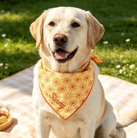 Écharpe triangulaire pour chien avec imprimé coloré de style campagnard, bavoir pour animaux de compagnie pour séances photo en extérieur, convient aux chats et aux chiens.