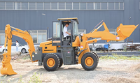 Terex 2.5 Ton Mini 4x4 Wheel Loader Backhoe Loader dengan Mesin Euro5/EPA Pompa Hidrolik Changjiang & Komponen Inti