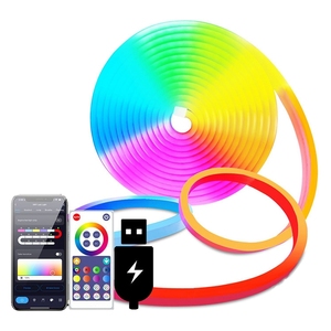 Regulable 1M 60LED RGBIC neón <span class=keywords><strong>LED</strong></span> tira música sincronización USB 5V neón <span class=keywords><strong>LED</strong></span> Control remoto Flexible <span class=keywords><strong>LED</strong></span> neón cuerda luz para decoración de habitación - Product Image 1