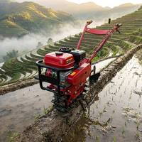 Petite motobineuse sur chenilles pour le labourage et le desserrage des champs agricoles