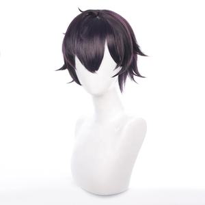 Vente en gros perruque virtuelle YouTuber <span class=keywords><strong>Shoto</strong></span> <span class=keywords><strong>Cosplay</strong></span> 30cm court violet foncé Anime Peluca perruque de cheveux synthétique résistant à la chaleur - Product Image 3
