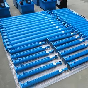 Suministro de Cilindros Hidráulicos Gama Completa, OEM, ODM, Pedidos con Cupones - Product Image 6