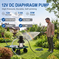 Pompe de surpression d'eau agricole électrique 12V à diaphragme, mini, haute pression, pour la brumisation