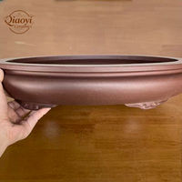 Pot à Bonsaï en Argile Violette Nordique Sculpté à la Main Yixing, Haute Température, Respirant, Robuste, Durable, avec Trou de Drainage, Design Ovale Exquis