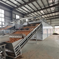 Fabrieksmatige continue mesh-belt fruit- en groentedroger op gas/biomassa, transportbanddroogmachine voor de verwerking van uien en chilipepers.