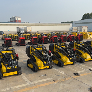Minicargadora con Motor Económico, Orugas y 1 Año de Garantía, Alta Eficiencia Operativa para un Rendimiento Óptimo - Product Image 1