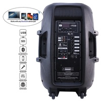 Altavoz Karaoke Profesional de 15 Pulgadas y 1000 W con Alimentación por Audio, TWS, Iluminación LED para Fiestas, Soporte, Micrófono, Batería y Micrófono Inalámbrico, Bocina Parlante
