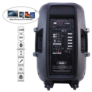 15 "1000W Audio professionale alimentato Karaoke TWS altoparlante festa illuminazione a LED + supporto + microfono-batteria Mic Bocina Parlante - Product Image 3