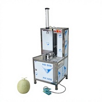 Volledig Automatische Hoge Productiviteit Fruit & Groente Schilmachine 220V 50Hz Enfase voor Jackfruit