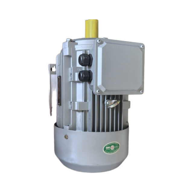 Three-phase Asynchronous Motor Three-phase Motor YS Y2-YE3-100L1-2.2KW-4