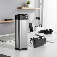 Batterie LiCoO2 à État Solide Certifiée CE UN38.3 Fiable Songye 36V 48V 20Ah 1000 Cycles pour Vélo Électrique, Scooter, Fauteuil Roulant