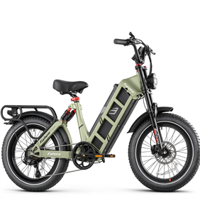 Bicicleta Eléctrica de Montaña Eahora Juliet, 250W, 52V, Todoterreno, Llantas Anchas, Cuadro de Acero, 20 Pulgadas, para Adultos, Aventura - Product Image 4