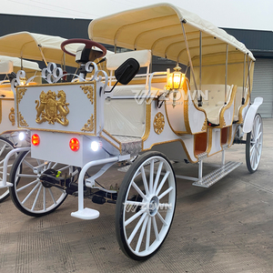 Charrette électrique sans chevaux, style rétro européen, garniture or blanc, wagon de tourisme multi-passagers - Product Image 2
