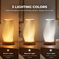 Lampe de table à trois couleurs à intensité variable avec prise USB personnalisée OEM, lampe de nuit décorative pour balcon, patio, jardin, LED