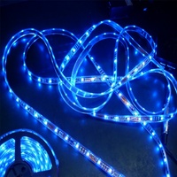 Bande lumineuse LED flexible RGB adressable DC24V avec contrôle DMX512