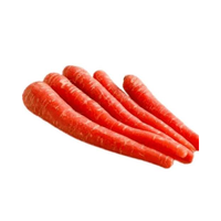 Variedad Híbrida de Zanahoria Confiable para Agricultura Profesional, Ofrece Cosecha Uniforme, Alto Rendimiento, Excelente Valor de Mercado, 99% de Pureza