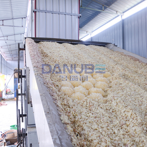 Advanced Garlic Mesh Belt Dryer Garlic Peeling Drying and Grinding Production Line Garlic Dehydrator Machine - Product Image 1
