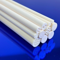 Manchon multi-perforations en céramique d'alumine haute performance, tube de protection fiable en Al2O3 pour systèmes optoélectroniques avancés