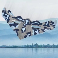 Avion télécommandé électrique Cesner F22 F35 U2 rc Planeur de chasse lumineux triangulaire à voilure fixe Moteur en mousse avec USB
