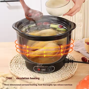 Marmite Électrique Populaire pour Soupe et Ragoût, avec Couvercle en Céramique, Multicuiseur Santé pour la Maison, Cocotte Électrique pour la Maison - Product Image 4
