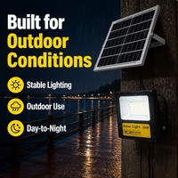 Lampu Sorot LED Tenaga Surya Terintegrasi Tahan Air IP66 30W 60W 80W 100W Hemat Energi untuk Penerangan Jalan, Taman, dan Perkemahan Luar Ruangan