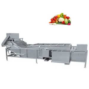 China Supplier Fruit Washer Elevator Vegetable And Fruit Washing Machine