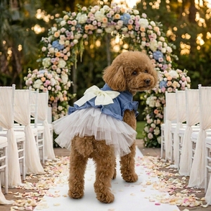 Vestido de Novia Personalizado para Perros, Vestido de Tul Azul de Lujo para Perros y Gatos Pequeños, Ropa Transpirable de Verano para Cachorros - Product Image 1