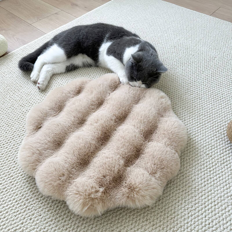 สีเทาอ่อน