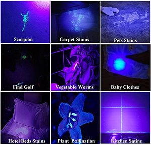 Custom Mini Blacklight Purple Uv <span class=keywords><strong>Ultravioleta</strong></span> Linterna Antorcha 9 LED de <span class=keywords><strong>luz</strong></span> <span class=keywords><strong>con</strong></span> clip de la pluma para comprobar dinero - Product Image 6