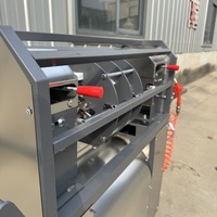 Hoge productiviteit commerciële automatische elektrische fruit- en suikerriet schil-, snij- en reinigingsmachine met lagers