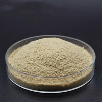 Extrait de levure Soluble dans l'eau Sodium Carboxymethyl Levure Bêta Glucane (Bêta 1,3/1,6 D Glucan) 90% Pour Qualité Cosmétique