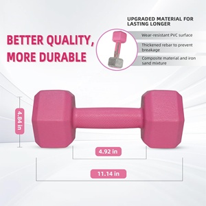 Cast Iron & Rubber <b>Dumbbell</b> Hand Weights 5/10/15/20lbs 5 Colors Unisex Comprehensive Fitness Exercise Home Gym Equipment - Product Image 2