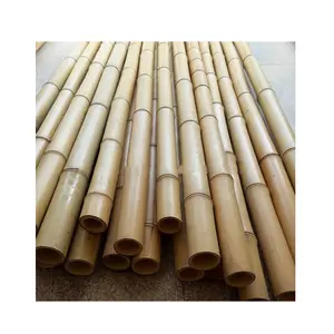 Large Bamboo Poles for construction plant supporting 100% Natural Moso Bamboo From Vietnam Export Free Tax