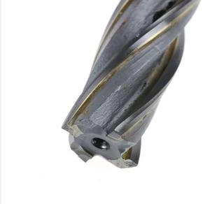 Fresa Verticale per Sgrossatura a Quattro Taglienti in Carburo di Tungsteno di Alta Qualità, 6-20mm, OEM, per Incisione a Cornice, Vendita all'Ingrosso Diretta dalla Fabbrica - Product Image 6